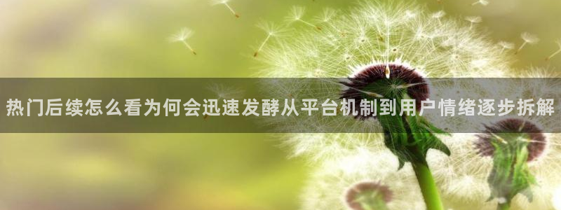 网络资讯爆料