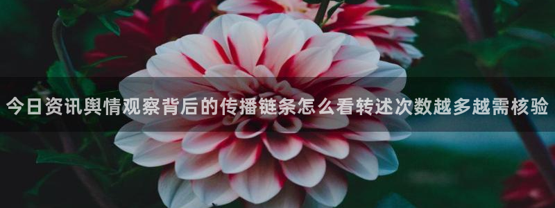 黑料网络话题