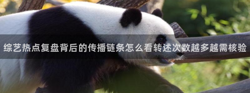每日热点榜